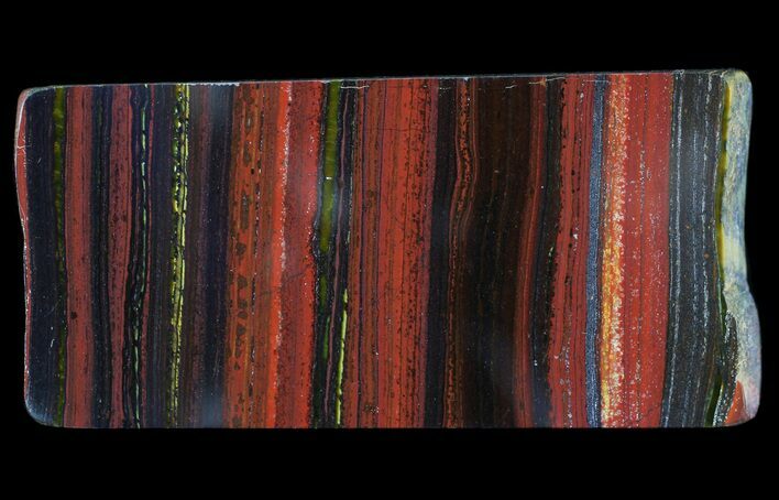 Polished Tiger Iron Stromatolite - ( Billion Years) #65536